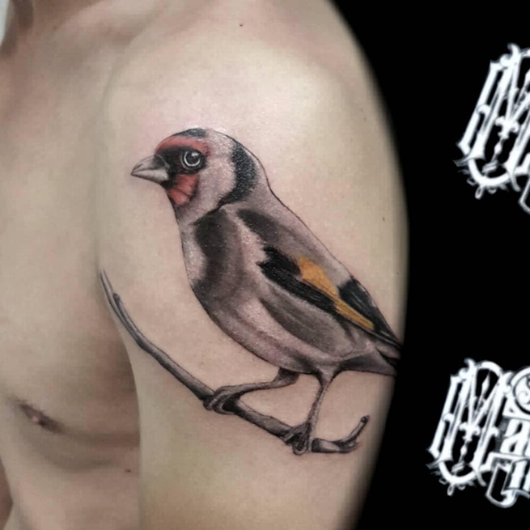 tattoo oiseau