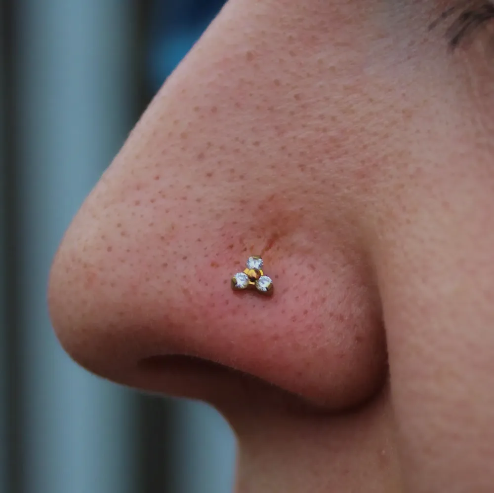 piercing nez